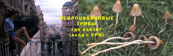гидра Беломорск