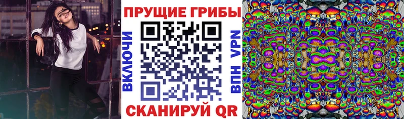 Галлюциногенные грибы Psilocybe  Вязники 