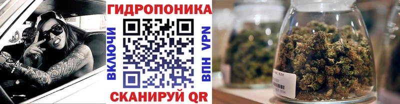 darknet как зайти Вязники МАРИХУАНА планчик сколько стоит